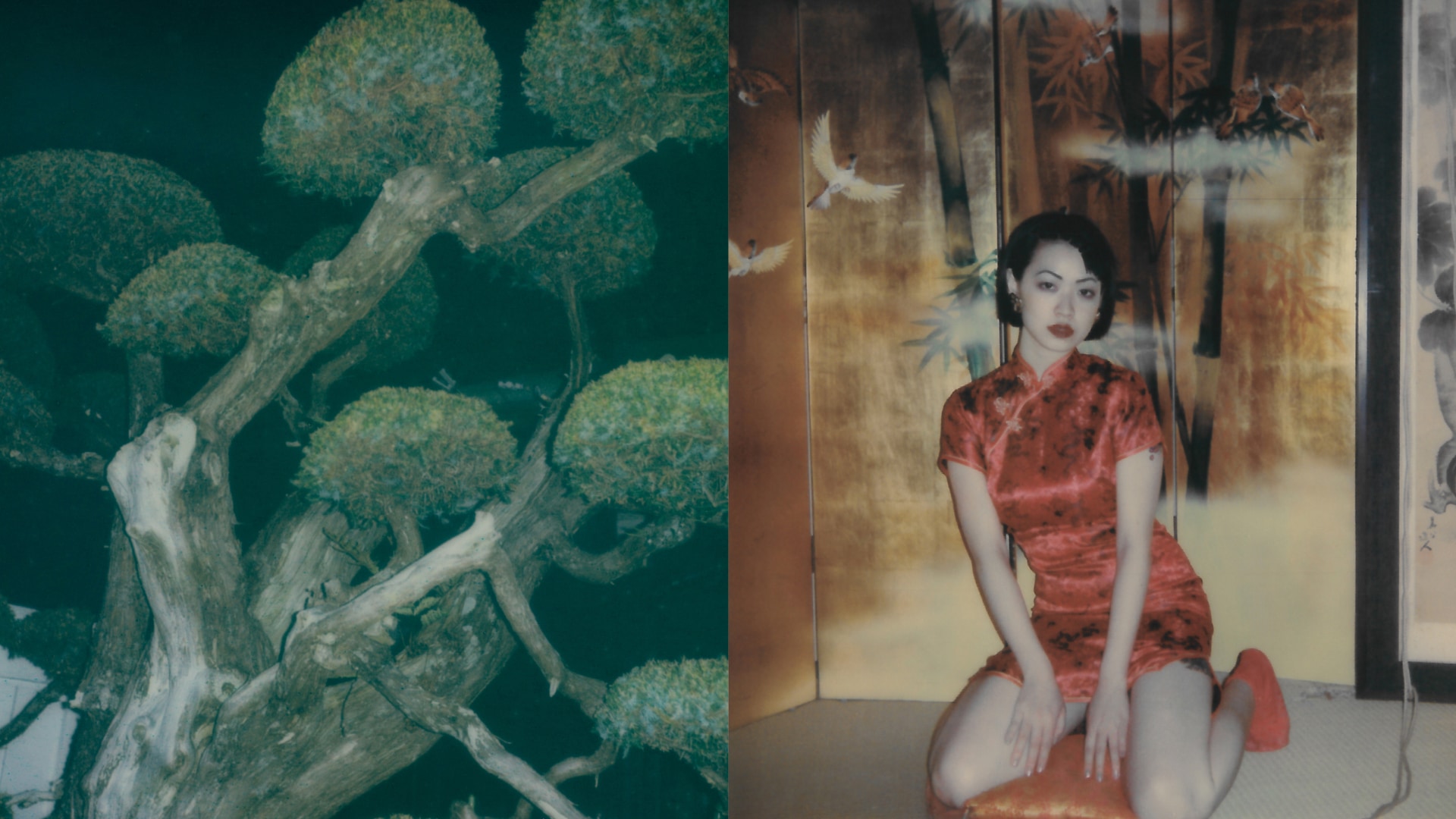 10年間にわたって撮影されたポロライド写真800点が並ぶ、キャスパー・ケントによる写真展「Offline」をCONTRASTで開催