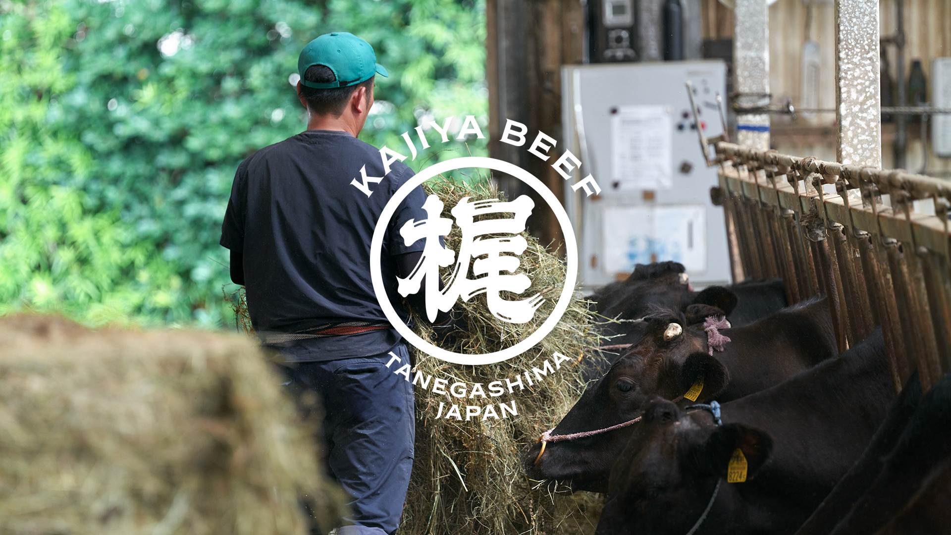 The Global Website of Tanegashima Wagyu Brand “Kajiya Beef” Has Been Released